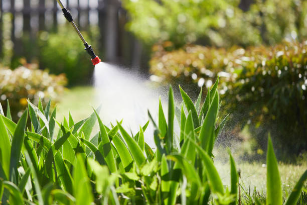 24/7 Emergency Mosquito Control experts in Palo, IA