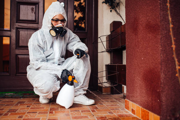 Reliable Mosquito Control contractor in Palo, IA by Show Me Pest Control